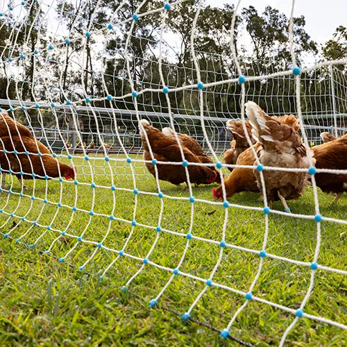 Electrified Poultry Netting 50m - Pet And Farm 