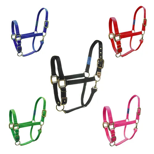 Comfort Fit Adjustable Halters – Nylon - Pet And Farm 