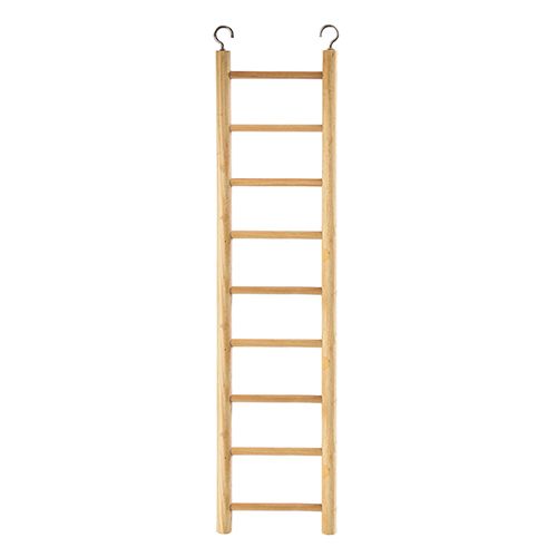 Bird Toy Ladder - Pet And Farm 