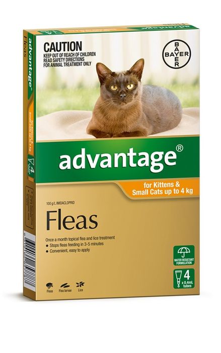 Advantage Small Cat & Kitten 0-4kg 4 Pack - Pet And Farm 